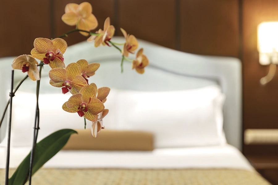 Desire-Cruises-DHSC28-cabins-Penthouse-Suite-07-900x600px