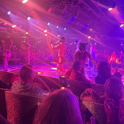 DWIC2026_Cruises_PaginadeCierre_Galeria_10_Show_800x600px